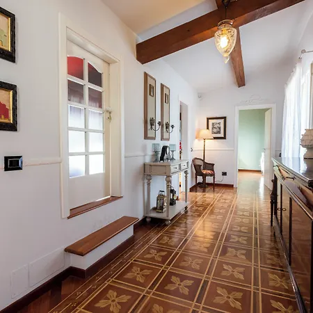 Ippopotamo By Mmega * Firenze